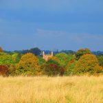 Churchtop © Marcus Alford