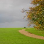 Crabtree Path © Marcus Alford