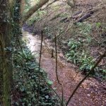 Stream Clearance Started © Rick Bourne