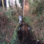 Stream Partially Cleared © Rick Bourne