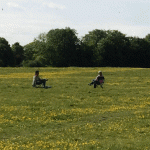 Old Basing in the Time of COVID 19 © David Whiter.