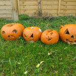 Hatch Pumpkin © L. Caswell