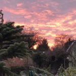 Winter sunrise © Alyson Skelton