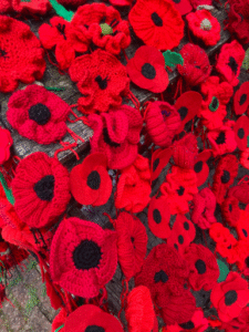 Poppies