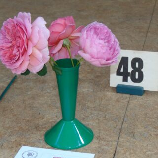 Village Show 2021 - Three Stems (rose not specified)