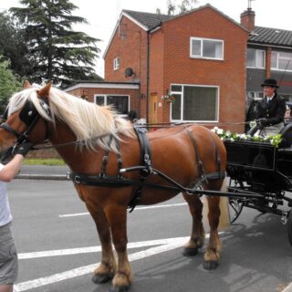 Old Basing Carnival 2010 - Recreation Ground