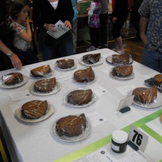 Village Show 2010 - Fruit Cakes