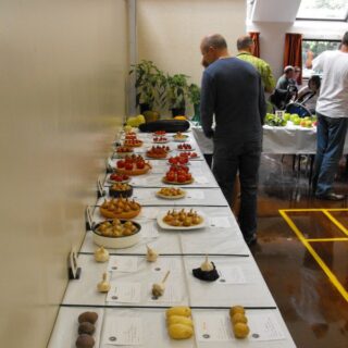 Village Show 2010 - Vegetables Table