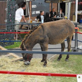 Old Basing Carnival 2010 - Recreation Ground
