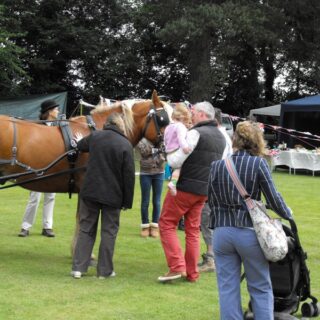 Old Basing Carnival 2010 - Recreation Ground