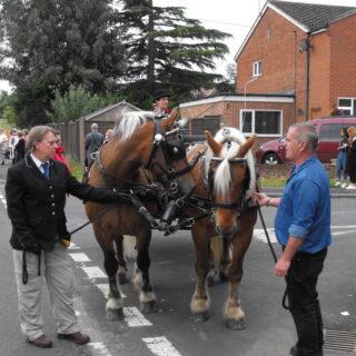Old Basing Carnival Process 2015 - pony cart