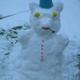 Snow Bear - Feb 2009 © Clifford Mogg