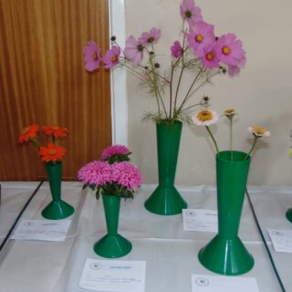 Village Show 2021 - Annuals (3 stems)