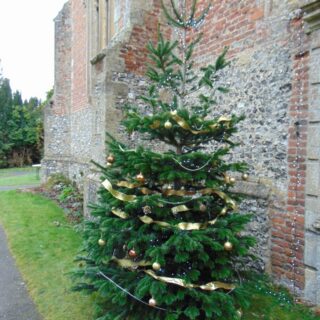 Christmas tree outside St Mary's Church (2021)