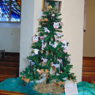 Beasts of the Stable - Rainbows & Brownies (2021)