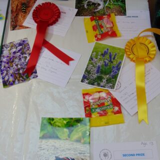 Village Show 2021 - Unframed Photo of an Insect