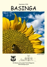 Bee on Sunflower - Richard Lillekar