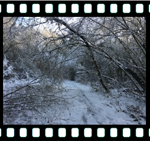 Snow Track