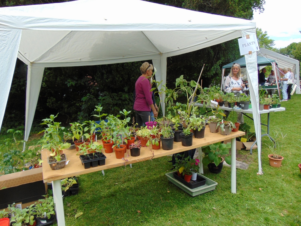 Locally produced plants - Alan Morris