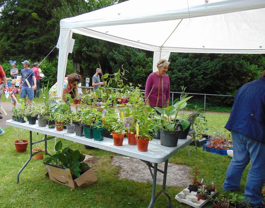 Locally produced plants - Alan Morris